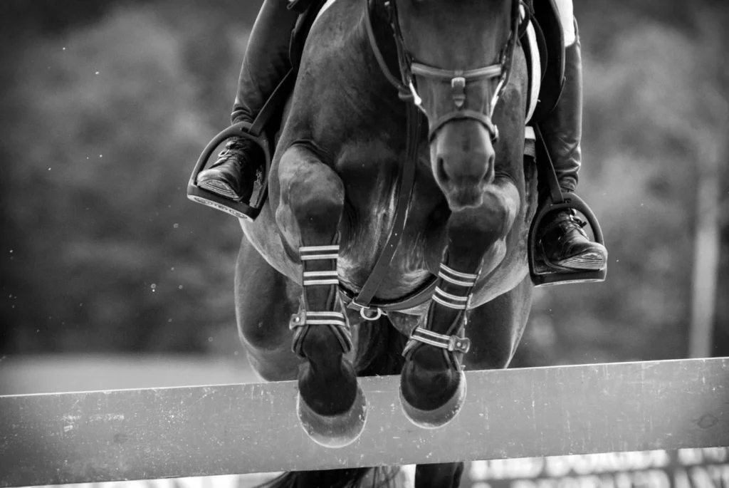 The Art of Equestrian Photography