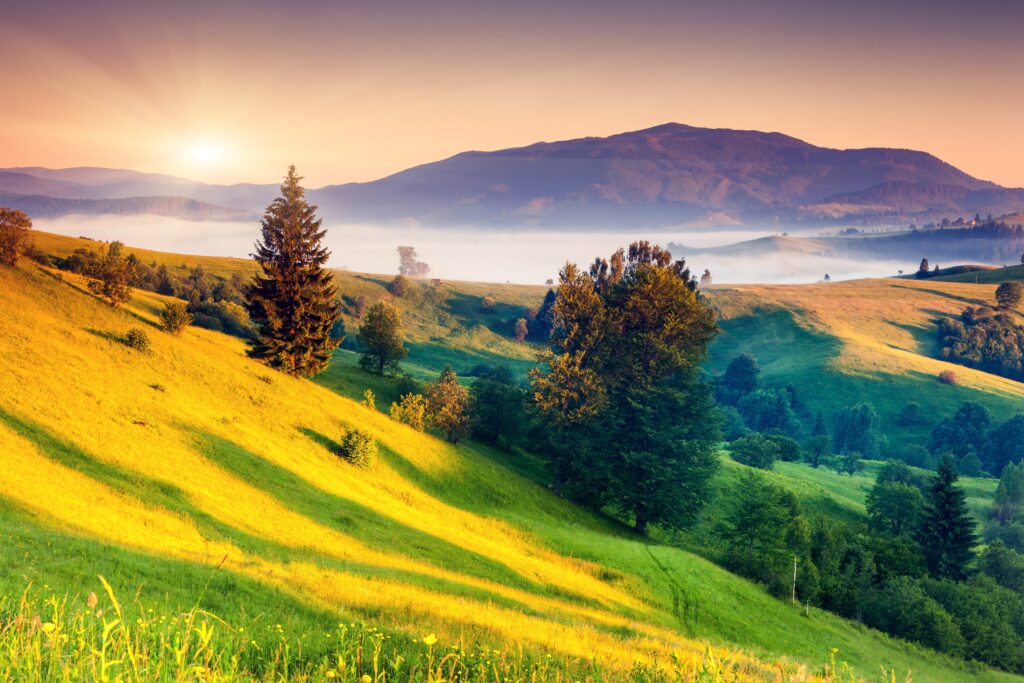 Landscape Photography