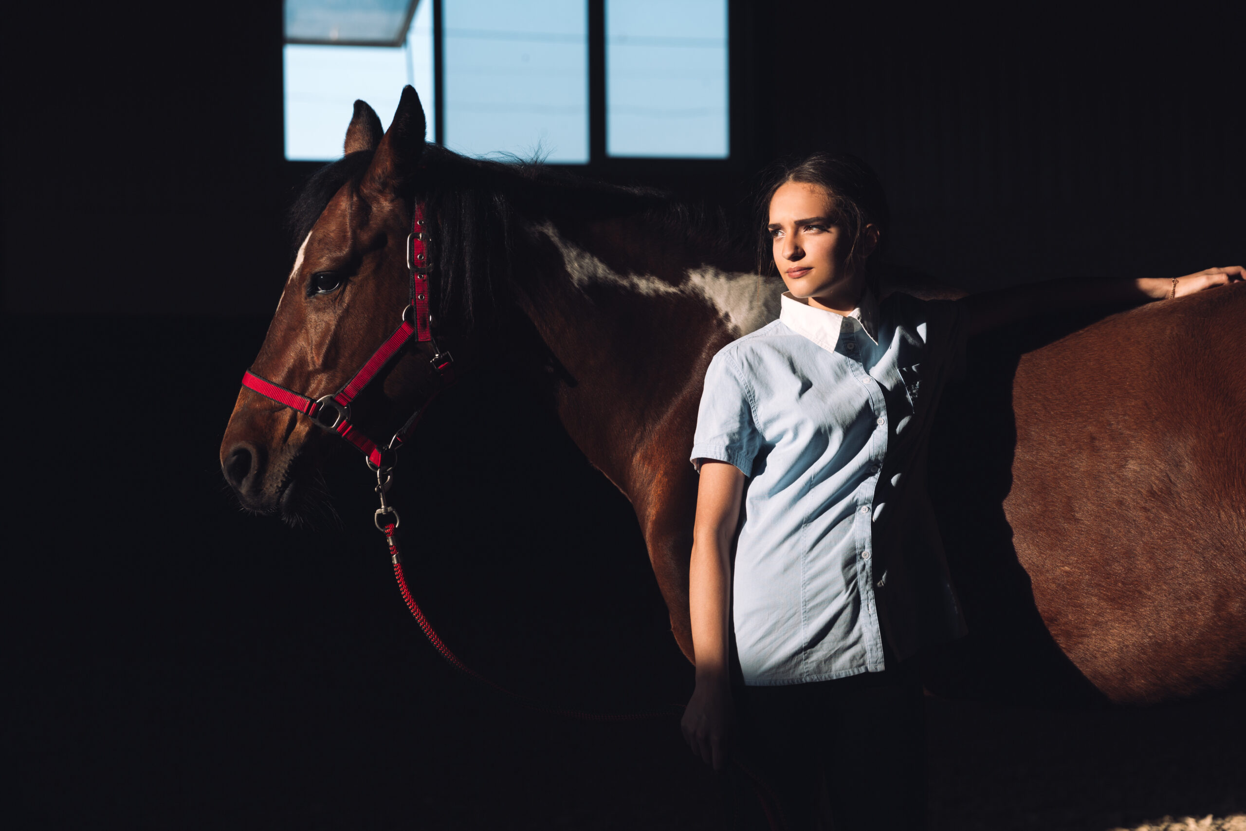 ForeverWorks Equine Photography